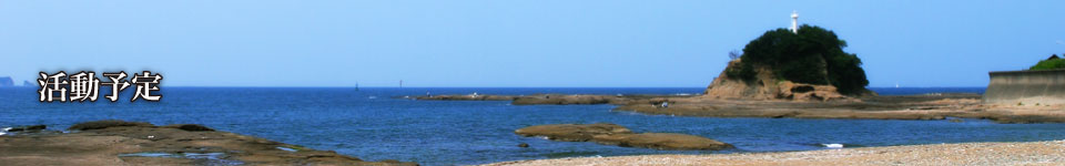 活動予定
